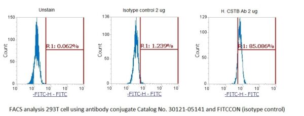 Human Cystatin-B (CSTB) AssayLite Antibody (FITC Conjugate) - Image 2