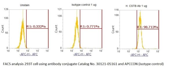 Human Cystatin-B (CSTB) AssayLite Antibody (APC Conjugate) - Image 2