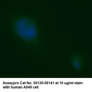 Human alpha-Ketoglutarate-dependent Dioxygenase alkB Homolog 3 (ALKBH3) AssayLite Antibody (FITC Conjugate)