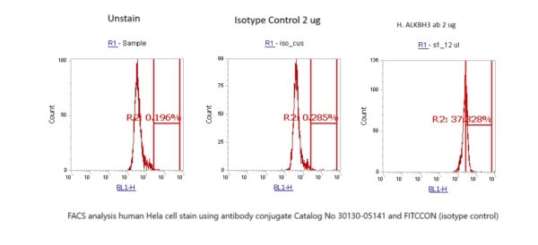 Human alpha-Ketoglutarate-dependent Dioxygenase alkB Homolog 3 (ALKBH3) AssayLite Antibody (FITC Conjugate) - Image 2