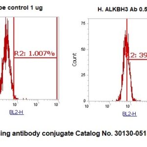 Human alpha-Ketoglutarate-dependent Dioxygenase alkB Homolog 3 (ALKBH3) Antibody (RPE Conjugate)