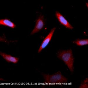 Human alpha-Ketoglutarate-dependent Dioxygenase alkB Homolog 3 (ALKBH3) AssayLite Antibody (APC Conjugate)