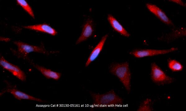 Human alpha-Ketoglutarate-dependent Dioxygenase alkB Homolog 3 (ALKBH3) AssayLite Antibody (APC Conjugate)