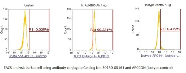 Human alpha-Ketoglutarate-dependent Dioxygenase alkB Homolog 3 (ALKBH3) AssayLite Antibody (APC Conjugate) - Image 2