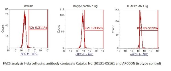 Human Acid Phosphatase 1 (ACP1) AssayLite Antibody (APC Conjugate)