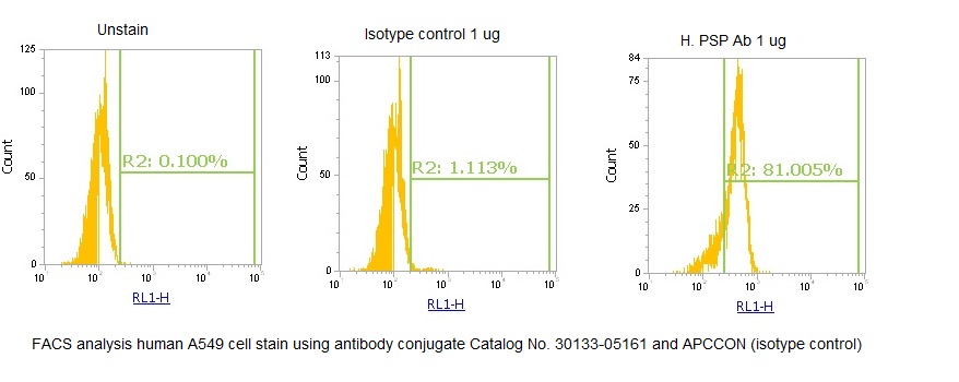 Human Phosphoserine Phosphatase (PSP) AssayLite Antibody (APC Conjugate) - Image 2