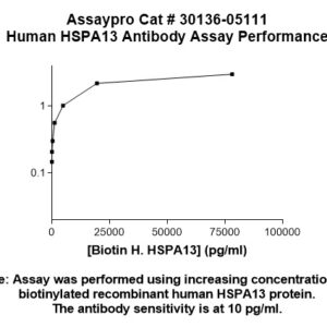 Human Heat Shock Protein 70 kDa Family Member 13 (HSPA13) Antibody