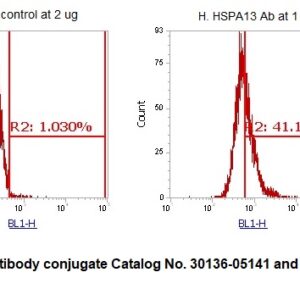 Human Heat Shock Protein 70 kDa Family Member 13 (HSPA13) AssayLite Antibody (FITC Conjugate)