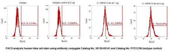 Human Heat Shock Protein 70 kDa Family Member 13 (HSPA13) AssayLite Antibody (FITC Conjugate)