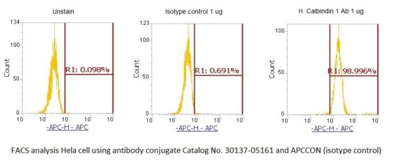 Human Calbindin 1 AssayLite Antibody (APC Conjugate) - Image 2