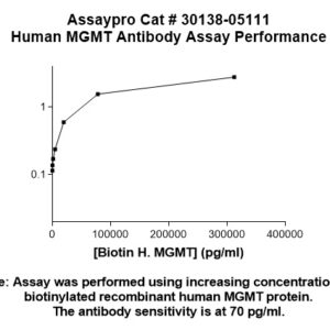 Human O-6-Methylguanine-DNA Methyltransferase (MGMT) Antibody (Biotin Conjugate)