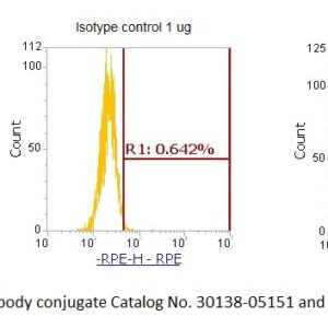 Human O-6-Methylguanine-DNA Methyltransferase (MGMT) AssayLite Antibody (RPE Conjugate)