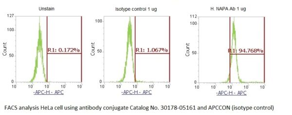 Human SNAP-alpha (NAPA) AssayLite Antibody (APC Conjugate) - Image 2