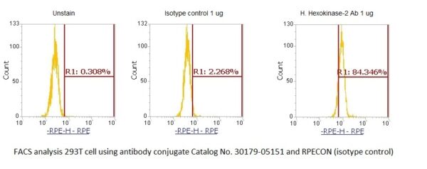 Human Hexokinase-2 AssayLite Antibody (RPE Conjugate)