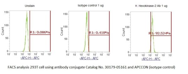 Human Hexokinase-2 AssayLite Antibody (APC Conjugate) - Image 2