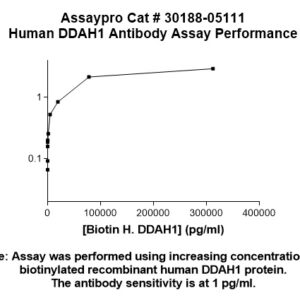 Human Dimethylarginine Dimethylaminohydrolase 1 (DDAH1) Antibody