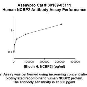 Human Nuclear Cap-Binding Protein Subunit 2 (NCBP2) Antibody