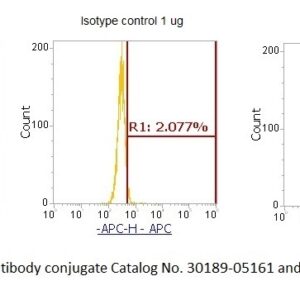 Human Nuclear Cap-Binding Protein Subunit 2 (NCBP2) AssayLite Antibody (APC Conjugate)
