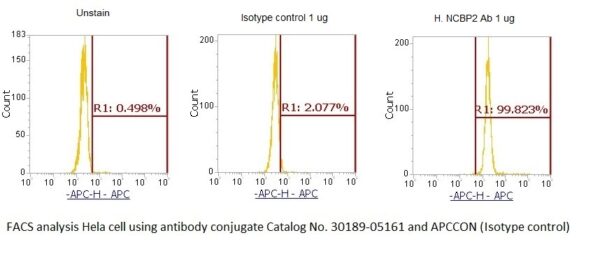 Human Nuclear Cap-Binding Protein Subunit 2 (NCBP2) AssayLite Antibody (APC Conjugate)