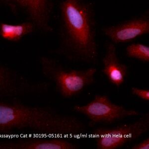Human Copper Chaperone For Superoxide Dismutase (CCS) AssayLite Antibody (APC Conjugate)