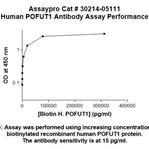 Human Peptide-O-fucosyltransferase 1 (POFUT1) Antibody