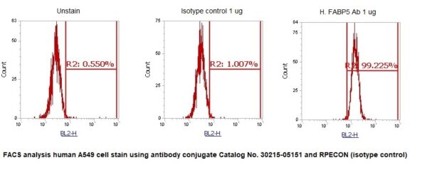 Human Fatty Acid-Binding Protein 5 (FABP5) AssayLite Antibody (RPE Conjugate) - Image 2