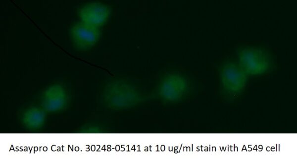 Human ADP-ribosylation Factor 1 (ARF1) AssayLite Antibody (FITC Conjugate)