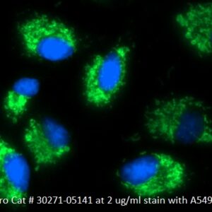 Human Peroxiredoxin-3 (PRDX3) AssayLite Antibody (FITC Conjugate)