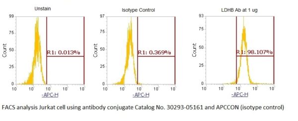 Human L-Lactate Dehydrogenase B Chain (LDHB) AssayLite Antibody (APC Conjugate) - Image 2