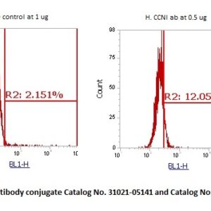 Human Cyclin-I (CCNI) AssayLite Antibody (FITC Conjugate)