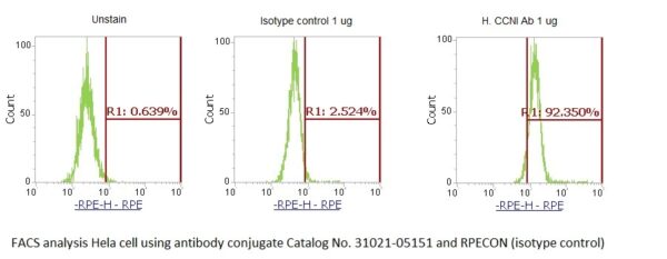 Human Cyclin-I (CCNI) AssayLite Antibody (RPE Conjugate) - Image 2