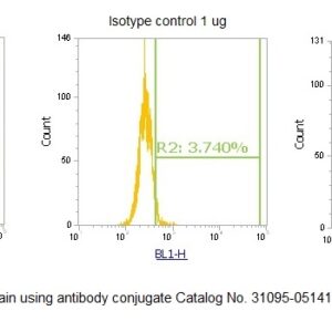 Human Cathepsin S (CTSS) Antibody (FITC Conjugate)