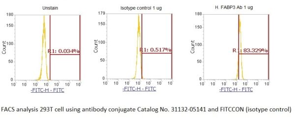 Human Fatty Acid-Binding Protein 3 (FABP3) AssayLite Antibody (FITC Conjugate)