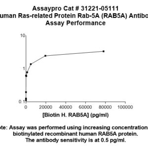 Human RAB5a Antibody