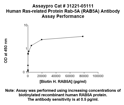 Human RAB5a Antibody (Biotin Conjugate)