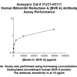 Human Biliverdin Reductase A (BLVR A) Antibody