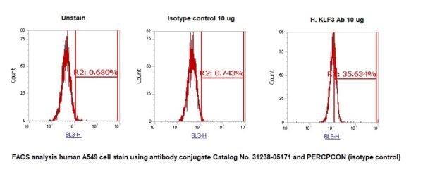 Human Krueppel-like Factor 3 (KLF3) AssayLite Antibody (PerCP Conjugate)