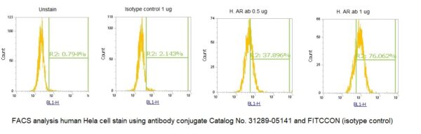 Human Aldose Reductase (AR) AssayLite Antibody (FITC Conjugate) - Image 2