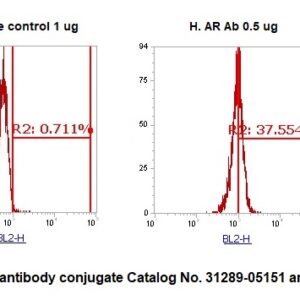 Human Aldose Reductase (AR) AssayLite Antibody (RPE Conjugate)