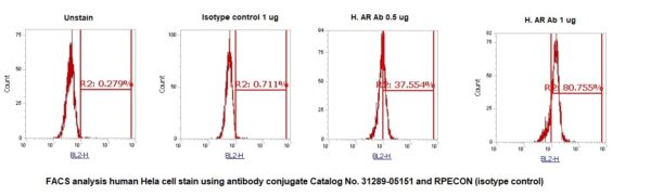 Human Aldose Reductase (AR) AssayLite Antibody (RPE Conjugate)