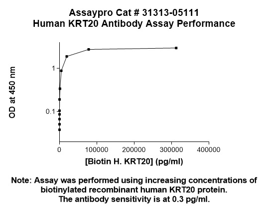 Human Cytokeratin-20 (CK-20) Antibody