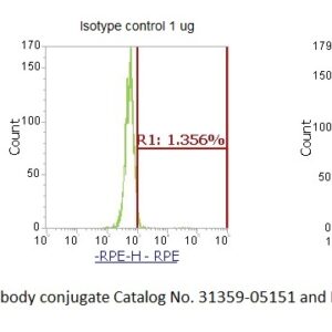 Small Nuclear Ribonucleoprotein (snRNP, RNP-Sm) AssayLite Antibody (RPE Conjugate)