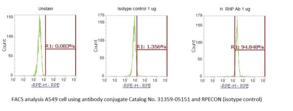 Small Nuclear Ribonucleoprotein (snRNP, RNP-Sm) AssayLite Antibody (RPE Conjugate)