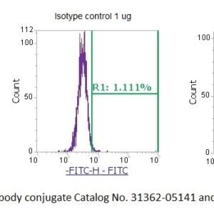 Small Nuclear Ribonucleoprotein A (U1 snRNP A, RNP-A) AssayLite Antibody (FITC Conjugate)