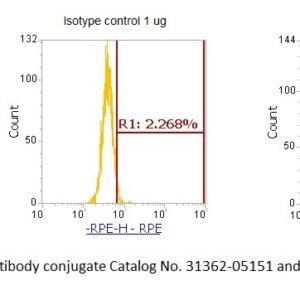 Small Nuclear Ribonucleoprotein A (U1 snRNP A, RNP-A) AssayLite Antibody (RPE Conjugate)