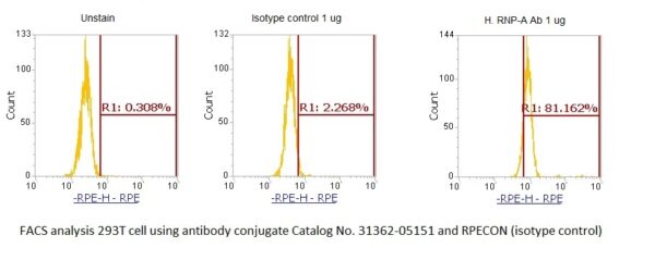 Small Nuclear Ribonucleoprotein A (U1 snRNP A, RNP-A) AssayLite Antibody (RPE Conjugate)