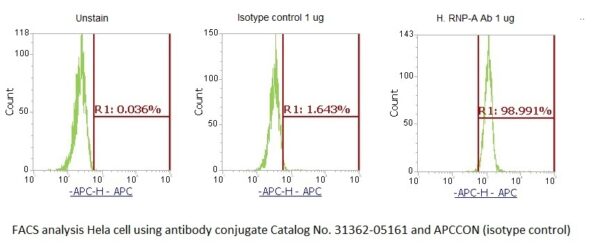 Small Nuclear Ribonucleoprotein A (U1 snRNP A, RNP-A) AssayLite Antibody (APC Conjugate)