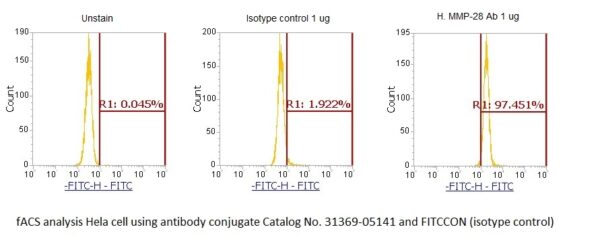 Human Matrix Metalloproteinase-28 (MMP-28) AssayLite Antibody (FITC Conjugate)