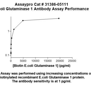 E.coli Glutaminase 1 (glsA1) Antibody