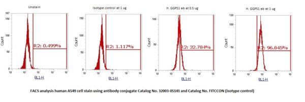 Human GGPS1 AssayLite Antibody (FITC Conjugate) - Image 2